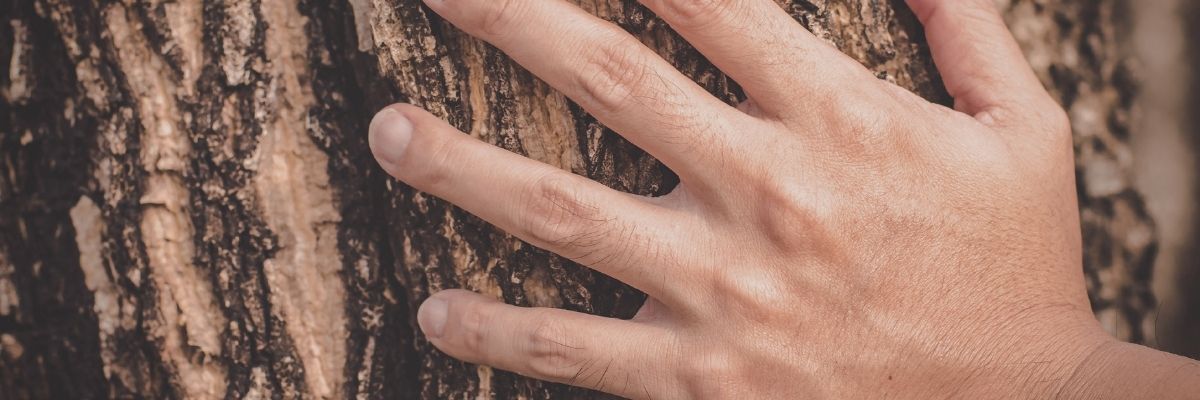 Küçük Dekorasyon Dokunuşları