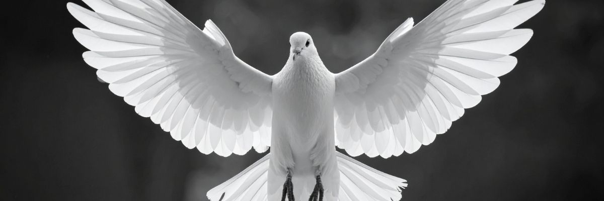 Monokrom Dekorasyon Fikirleri